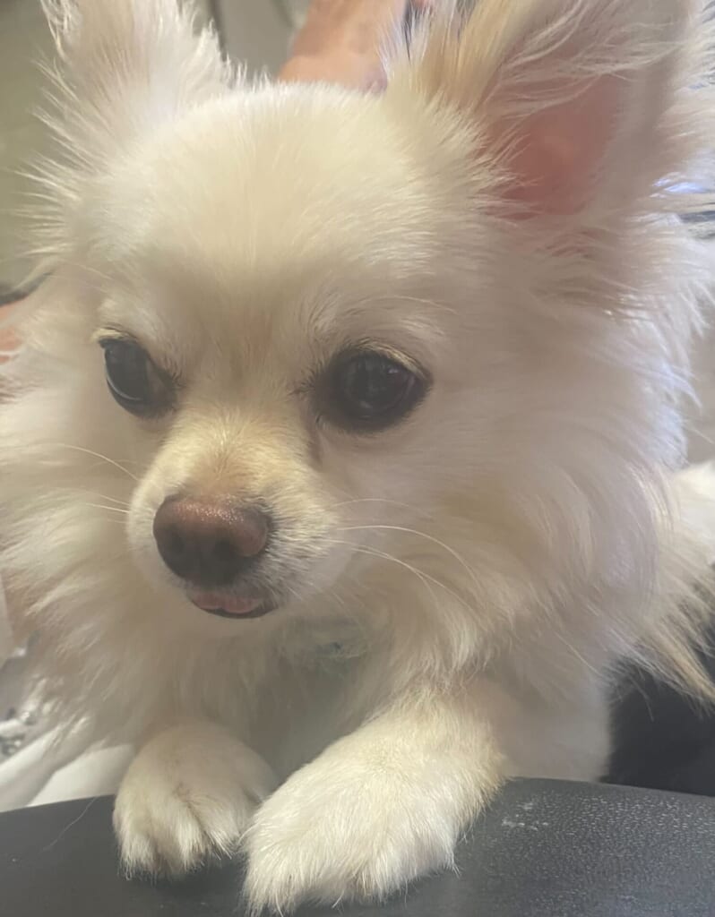 初めまして新入社員いとうです💕