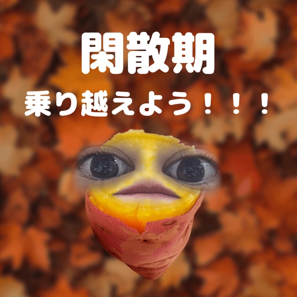 10月も後少し！11月もよきタイミングでログインして閑散期乗り越えよ🐼
